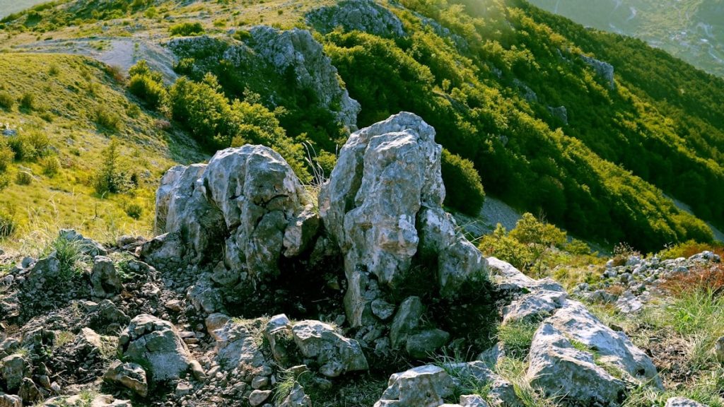 Jagged rocks on a grassy, forested mountainside
